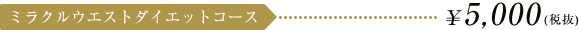 ミラクルウエストダイエットコース \5,250
