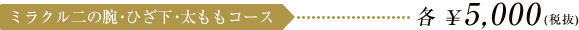 ミラクル二の腕・ひざ下・太ももコース 各 \5,250