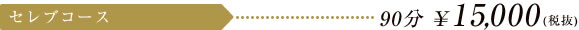 セレブコース　90分\15,750