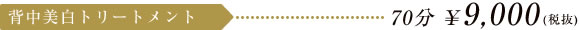 背中美白トリートメント 70分 \9,450