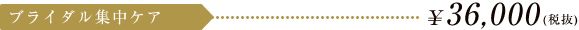 ブライダル集中ケア \37,800