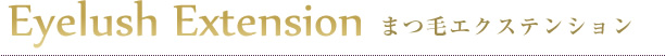 眉毛エクステンション Eyebrow Extension