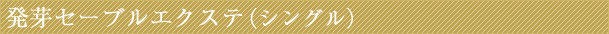 眉毛エクステとは