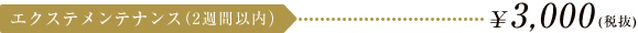 エクステメンテナンス（2週間以内） \3,150