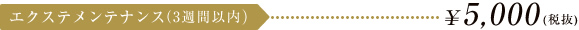 エクステメンテナンス（3週間以内） \5,250