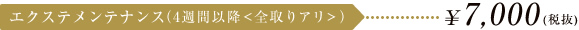 エクステメンテナンス（4週間以降<全取りアリ>） \7,350