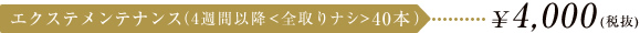 エクステメンテナンス（4週間以降<全取りナシ>40本） \4,200