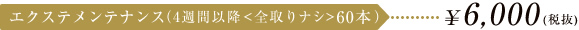 エクステメンテナンス（4週間以降<全取りナシ>60本） \6,300