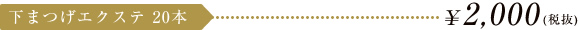 下まつげエクステ20本 \2,100