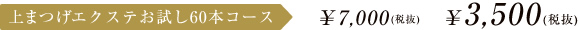 上まつげエクステお試し60本コース ￥7,000 ￥3,500
